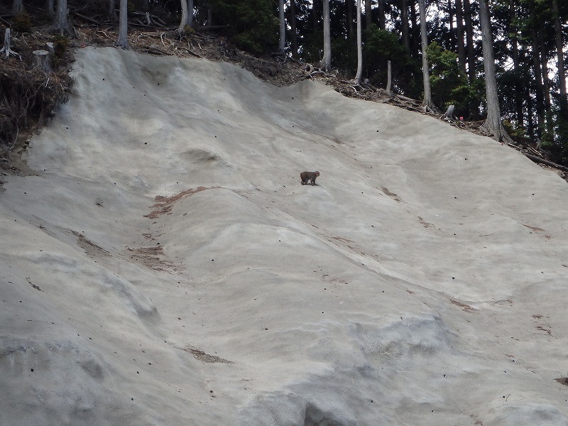 c0097754_16333215.jpg