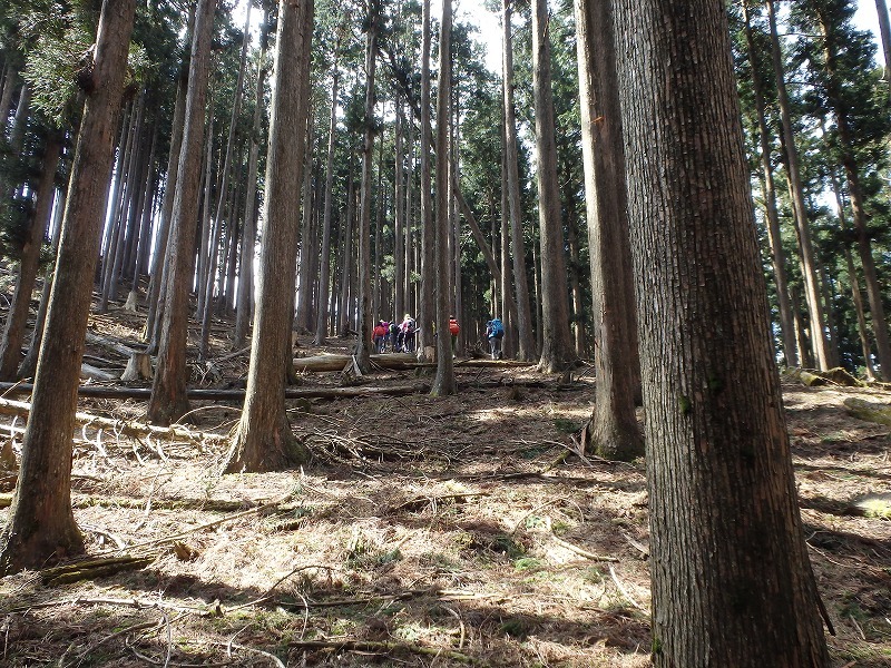 c0097754_16464065.jpg