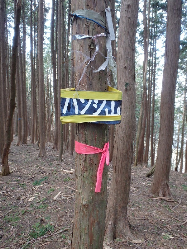 c0097754_16474136.jpg