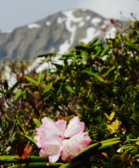 a0248459_13495715.jpg