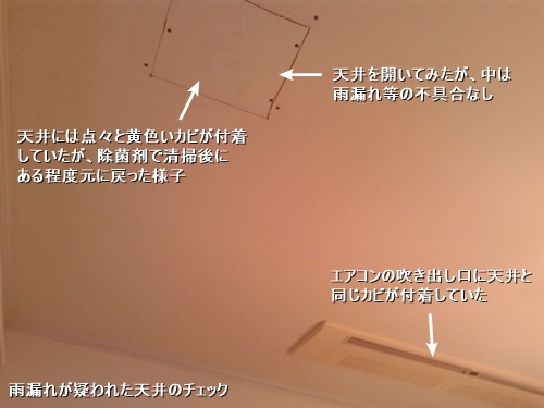 c0108065_14111265.jpg
