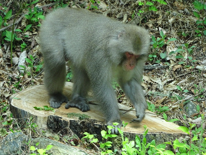c0143772_1021065.jpg