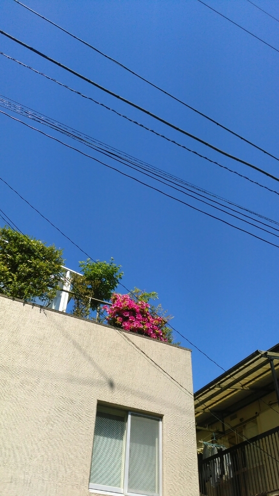 c0162773_00574874.jpg