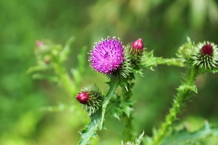 c0248473_19290502.jpg