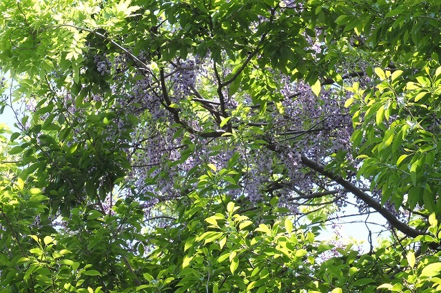 e0339873_21282052.jpg