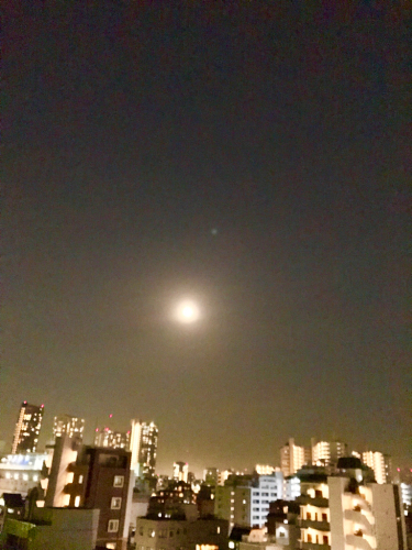 b0229277_01533361.jpg