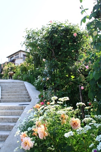 d0126577_22571404.jpg