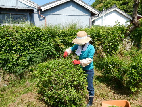 f0054677_06421748.jpg