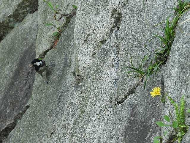 f0378979_16514014.jpg