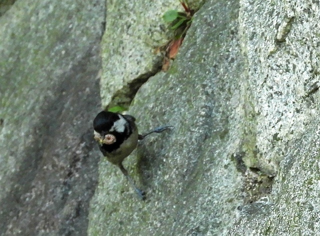 f0378979_16520208.jpg