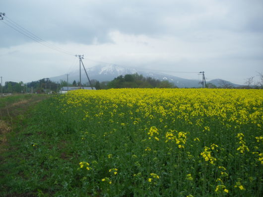 c0069380_16330719.jpg