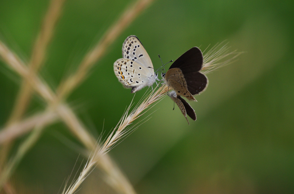 a0338085_23075556.jpg