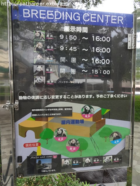 a0052986_7481222.jpg