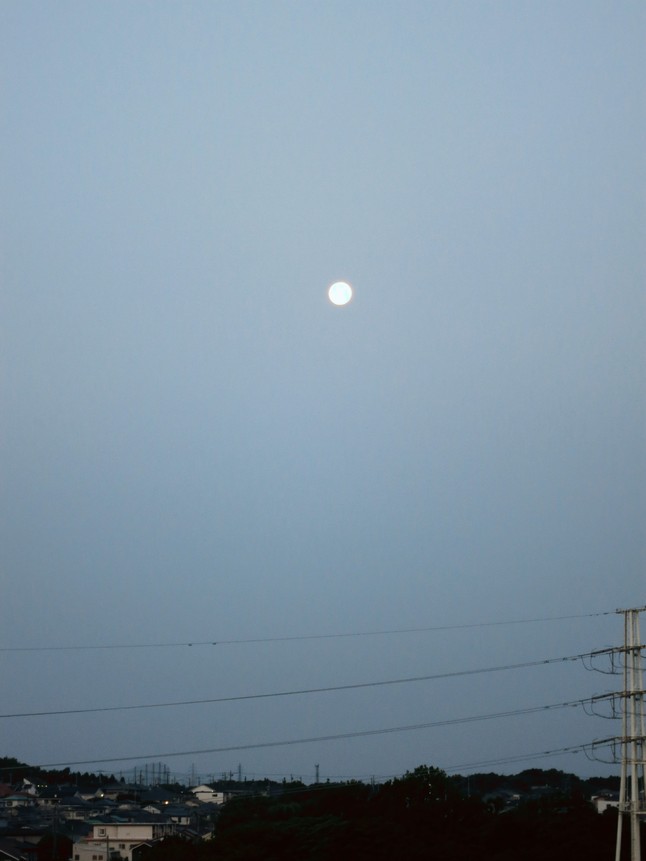 e0182389_99522.jpg