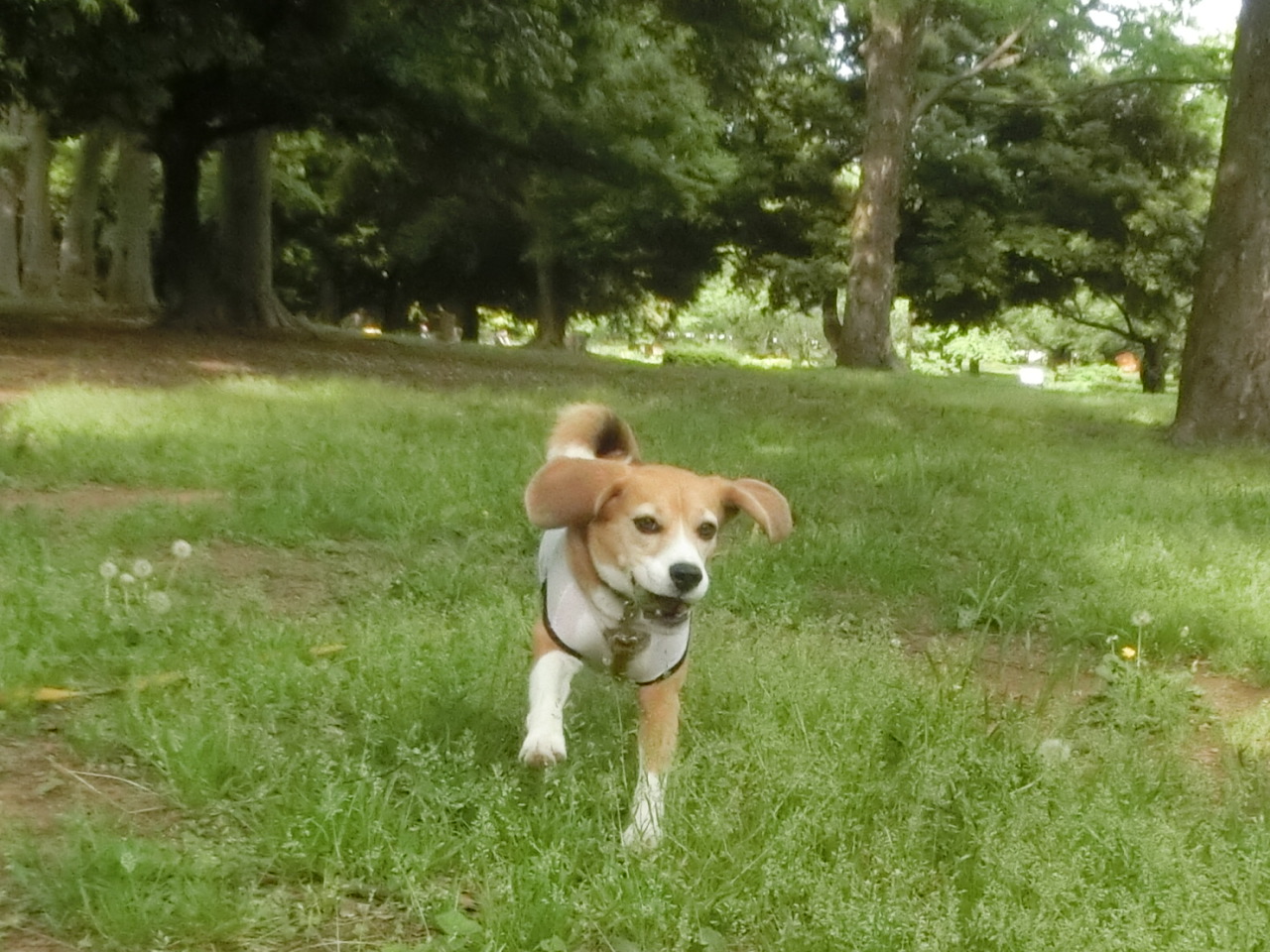 a0319693_6325798.jpg