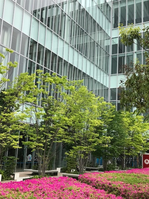 f0204295_16172798.jpg