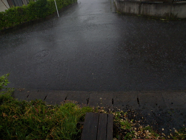 a0199297_19590786.jpg