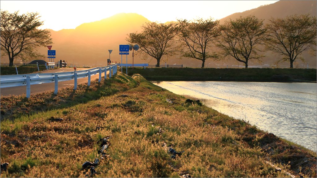d0353401_942071.jpg
