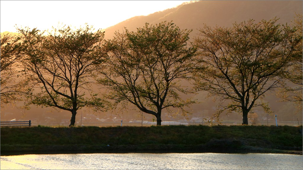 d0353401_942815.jpg