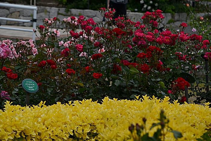 a0240403_1345488.jpg