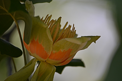 a0240403_14341142.jpg