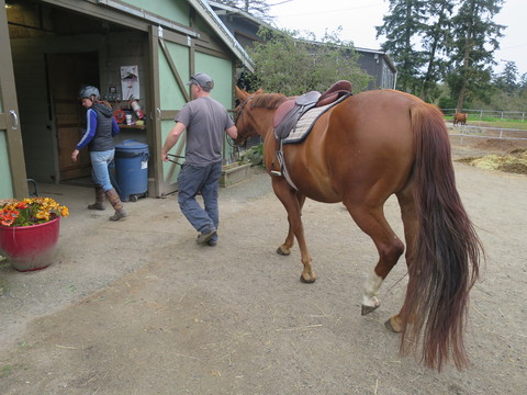 c0212604_21571471.jpg