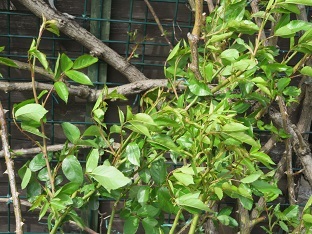 f0325309_14462865.jpg