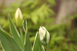 f0325309_14564822.jpg