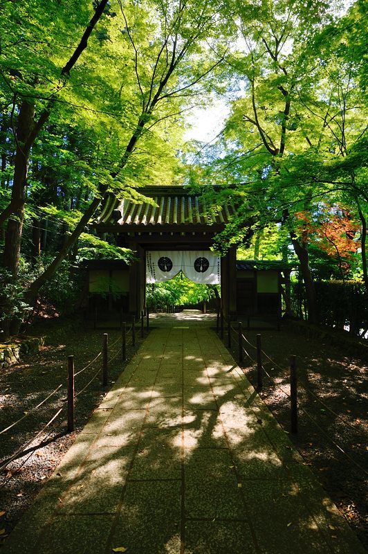 f0032011_20231443.jpg