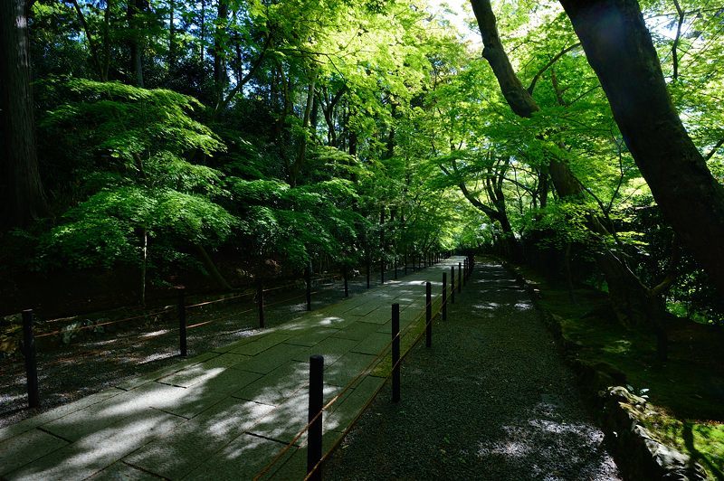 f0032011_20231502.jpg
