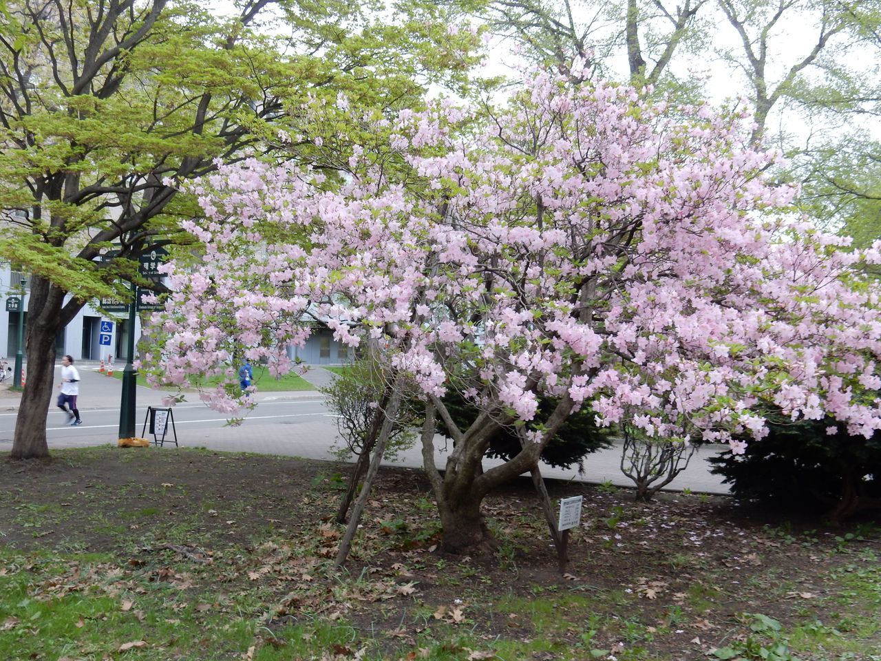 c0025115_22230794.jpg
