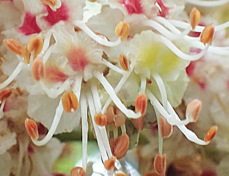 c0190915_19355373.jpg