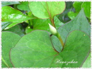 c0352015_22164391.png