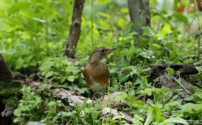 f0239515_20491319.jpg