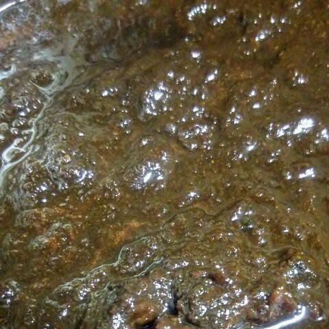 b0113219_16144098.jpg