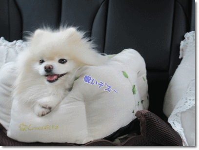 b0167519_15414422.gif