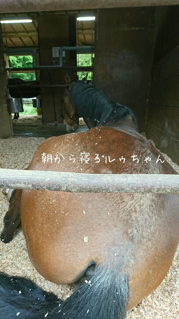 b0187620_20394600.jpg