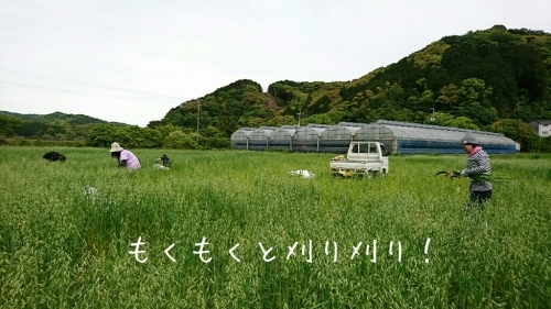 b0187620_20413422.jpg
