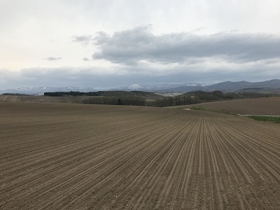 c0227720_23252167.jpg