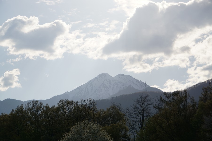 f0131721_05144471.jpg