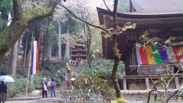 d0250123_14260628.jpg