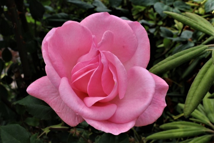 f0354923_00333041.jpg