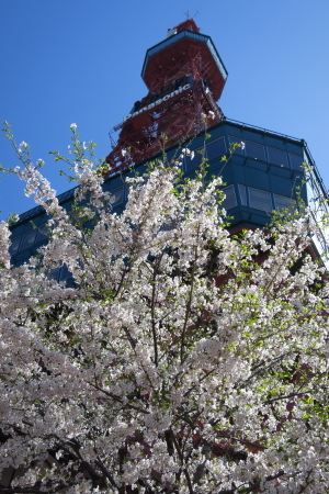 e0133025_17392928.jpg