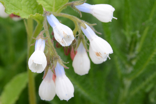 c0107129_31631.jpg