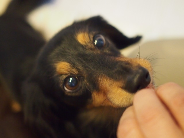 c0117831_17503628.jpg