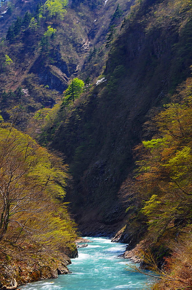 a0287533_14075183.jpg