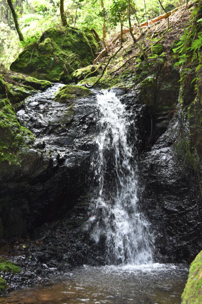 b0046933_7112921.jpg