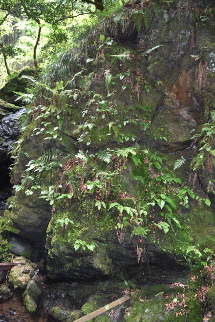 b0046933_7145881.jpg