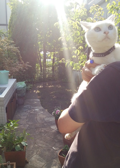 f0002833_11483145.jpg