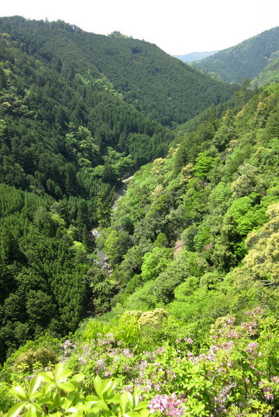 c0038434_14554713.jpg